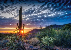 Scottsdale's premium short term getaway, Fully furnished 1 bedroom homes, FREE Golf, cable, utilities, Wi-Fi, parking, pool, and bike trails- Unit 112 apts